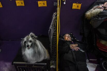Un perro y una mujer descansa en un momento de los cuatro días a lo largo de los que discurre la competición.