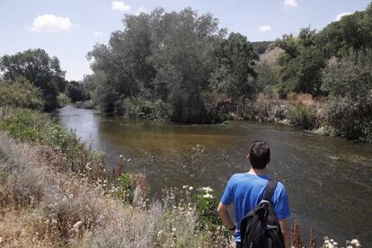 El río Jarama a su paso por Rivas Vaciamadrid.
