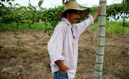 Agricultor colombiano en el campo.