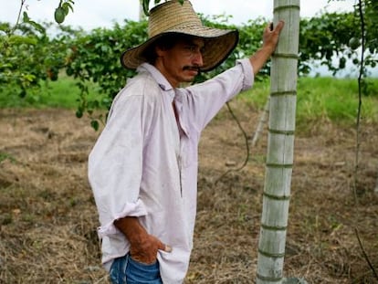 Agricultor colombiano en el campo.