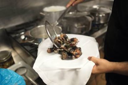 Belén Noriega en su puesto del mercado Plaza de Lugo y una ración de percebe en el restaurante Abuín.