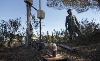 Uno de los pozos ilegales que rodean al espacio protegido de Doñana.