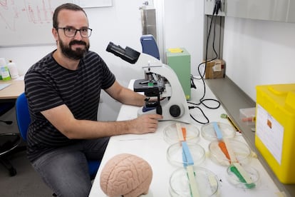 Javier Márquez, investigador principal del Laboratorio Traslacional de Estimulación Cerebral de la Universidad Pablo de Olavide (Sevilla).