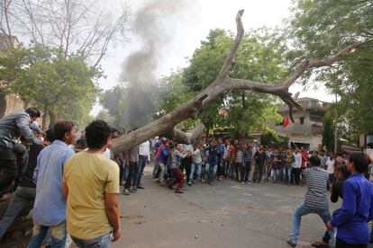 Los Dalits, casta inferior de la India, arrancan un árbol seco para bloquear el tráfico durante una huelga nacional en Ahmadabad (India).