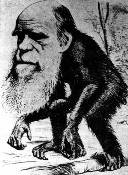 Charles Darwin escribió <i>El origen de las especies</i> como una larga refutación a las teorías del creacionista William Paley.