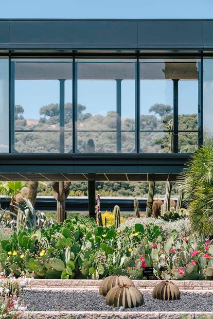 El jardín es un espacio único que aúna los elementos estéticos de los paisajes naturales de las zonas áridas y semiáridas del planeta.