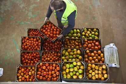 El Banco de Alimentos de Madrid tiene todo preparado para recibir los tres millones de kilos de alimentos que espera recoger en tres días para ayudar a las personas más necesitadas de la región. Visitamos la sede y almacén central en el Colegio San Fernando, localizado en la carretera de Colmenar Viejo (Madrid)En la imagen, un voluntario coloca una caja de tomates en el almacén central del Banco de Alimentos en el colegio San Fernando (Madrid).