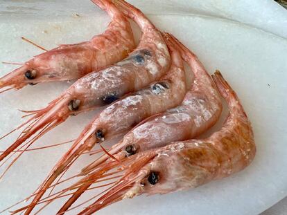 Camarones en papillote. El Refugio de JuanFran en Águilas (Murcia). J.C.CAPEL