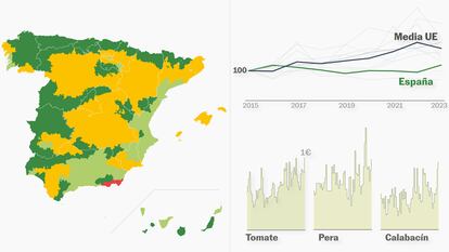 Quiénes son, qué cultivan y a cuánto venden los agricultores en España: el sector, explicado en gráficos