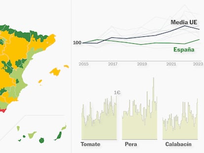 Quiénes son, qué cultivan y a cuánto venden los agricultores en España: el sector, explicado en gráficos