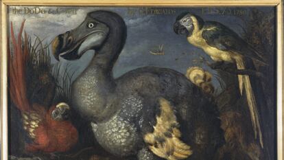 Una de las obras de Roelant Savery de la exposición: 'The Dodo and Other Birds', 1630.