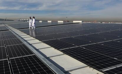 Pablo Santamaria, director técnico, y Gisela Sanchez, responsable de calidad de Grupo Norteños, revisan la planta de Generación de Energia Solar Fotovoltaica, en Mercamadrid.