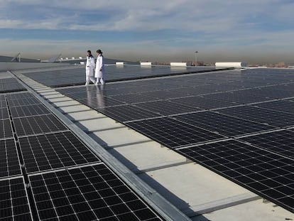 Pablo Santamaria, director técnico, y Gisela Sanchez, responsable de calidad de Grupo Norteños, revisan la planta de Generación de Energia Solar Fotovoltaica, en Mercamadrid.