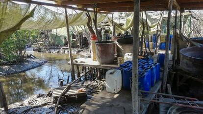 Estructura de un laboratorio de droga sintética detectado en medio del manglar en Navolato, Sinaloa.