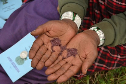 Mujeres Masai