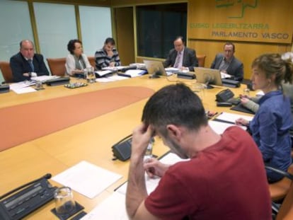 Un momento de la reunión de la comisión parlamentaria de investigación del 'caso De Miguel'.