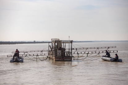 Efectivos de la Guardia Civil desmantelan una plataforma flotante para la pesca ilegal de angulas.