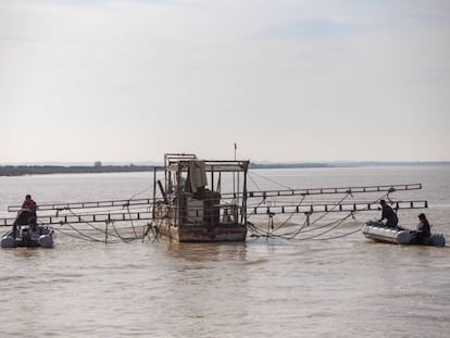 Efectivos de la Guardia Civil desmantelan una plataforma flotante para la pesca ilegal de angulas.