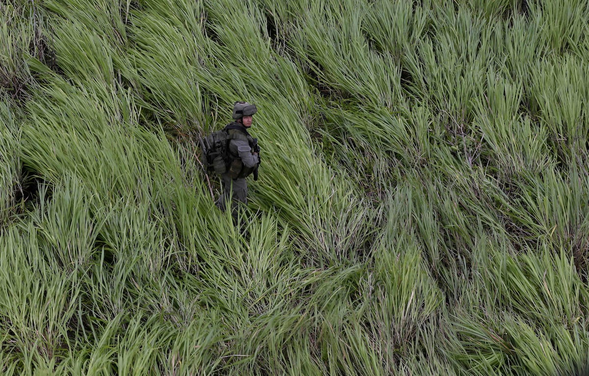 El asesinato de niños soldado: el dilema que cerca al Gobierno Petro – EL PAÍS