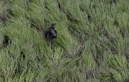 Niños soldado en Colombia