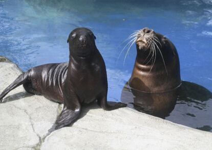 Saba <i>posa</i> junto a su madre, Ada.