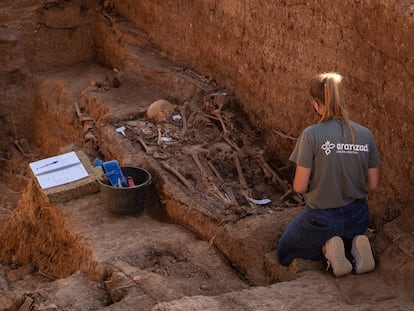 Trabajos de exhumación de la fosa común de Pico Reja en el cementerio de San Fernando de Sevilla, el pasado julio.