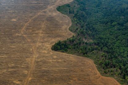 Los productores de soja han quemado bosques para expandir su superficie. Cerca de Porto Velho, Rondônia (Brasil).