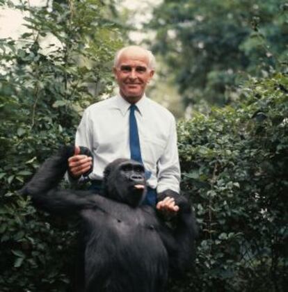 El doctor Bernhard Grzimek posa con un simio en 1967.