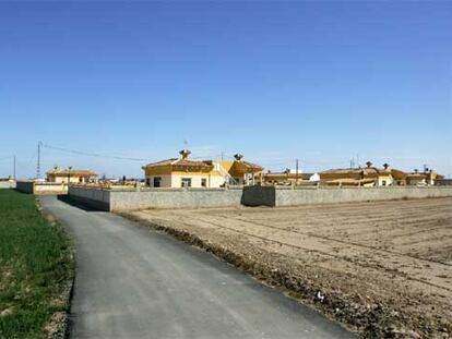 Viviendas ilegales construidas en Catral, cercanas al parque natural de El Hondo.