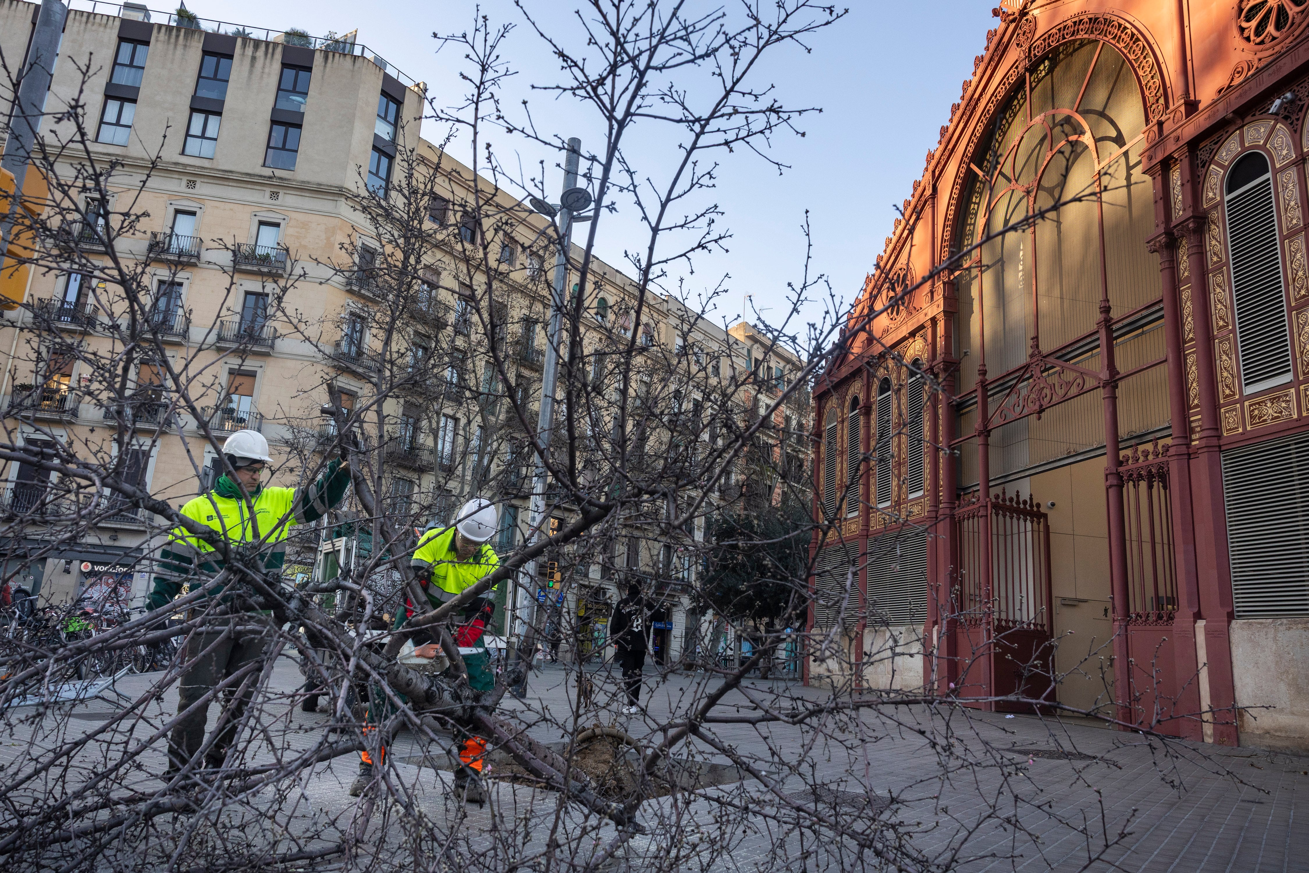Unos operarios retiran un árbol caído frente al Mercat de Sant Antoni en el temporal de viento en Barcelona. Gianluca Battista