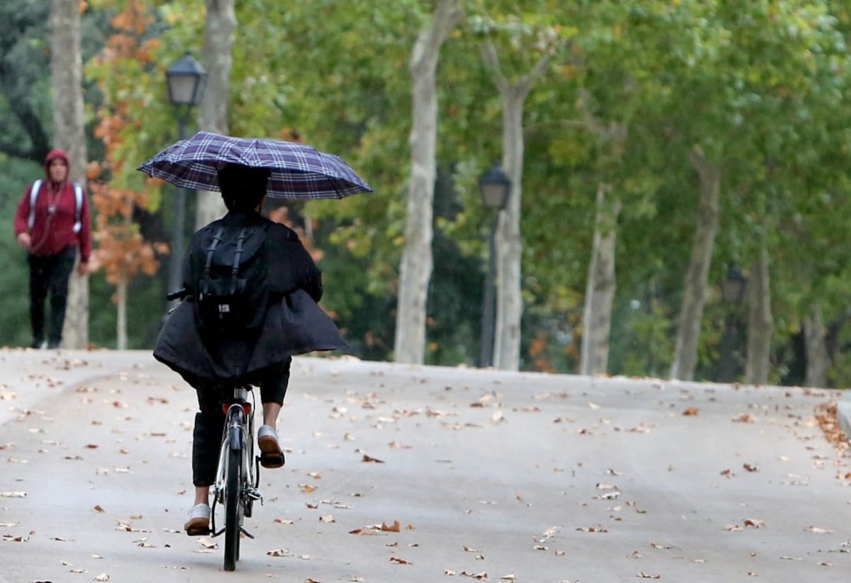 El temporal obliga a cerrar de nuevo zonas de El Retiro y otros ocho parques de Madrid