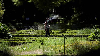 Una mujer pasea por el Jardín Botánico de Madrid tras su reapertura.