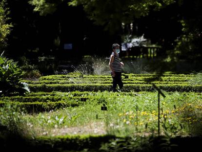 Una mujer pasea por el Jardín Botánico de Madrid tras su reapertura.