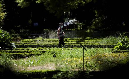 Una mujer pasea por el Jardín Botánico de Madrid tras su reapertura.