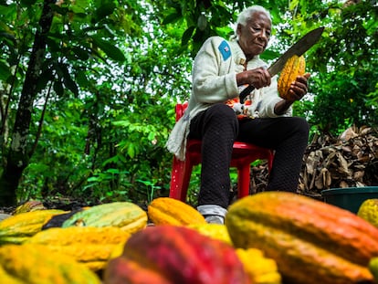 Betsabeth Álvarez, de 98 años, parte un fruto de cacao en su granja de Cuernavaca (Colombia)