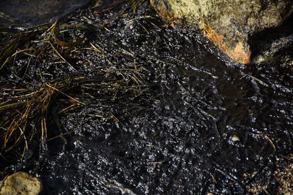 De acuerdo a la información difundida por Pemex, el derrame se ocasionó por el cambio de una tubería de hidrocarburos en una de las plataformas marinas que operan en el Golfo de México. En la imagen, acumulación de chapopote sobre una playa de Campeche. 