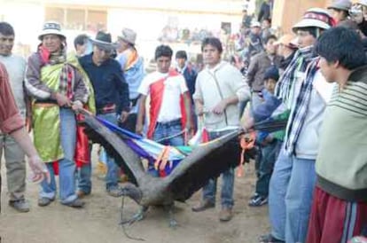 El cóndor es paseado por las calles del pueblo en la Yawar Fiesta.