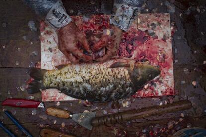 Un vendedor ambulante de pescado limpia una carpa en Praga, en la República Checa. En los días previos a la Navidad, los vendedores ambulantes, en su mayoría del sur de la región de Bohemia, venden peces vivos en las esquinas de la ciudad para su consumo en los platos tradicionales navideños: carpa frita, sopa de pescado y ensalada de papas.