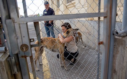 Nagore Lluvia abraza a 'Pipo', el galgo que ha decidido adoptar tras permanecer durante un año en acogida en la prisión de El Dueso (Santoña, Cantabria).