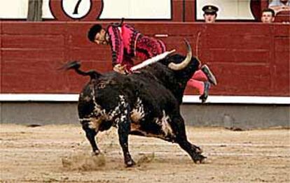 El sexto toro, correspondiente a El Cordobés, cornea al peón Juan de los Reyes.