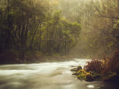 Fragas y río Eume.