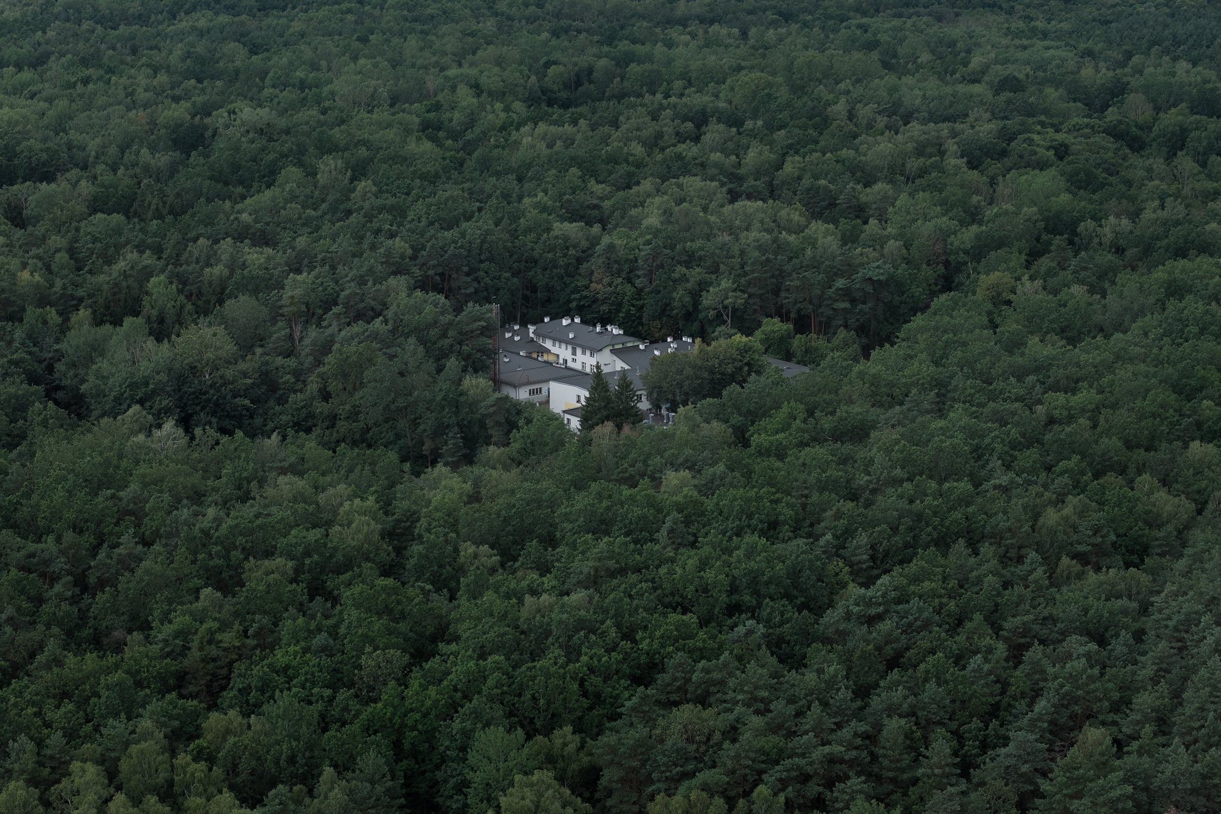 Atrapados en Polonia: los últimos migrantes de la ruta bielorrusa