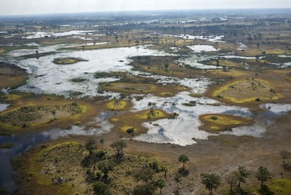 Vista de islas y marismas del Delta del Okavango desde la avioneta. El río, en sus 1.000 kilómetros, no busca el mar como otros, sino que prefiere ir a morir en un desierto, el Kalahari, y llegar hasta las mismísimas salinas de Makgadikgadi, alimentando múltiples vidas e impactando en 700.000 kilómetros cuadrados en tres ecosistemas conectados.