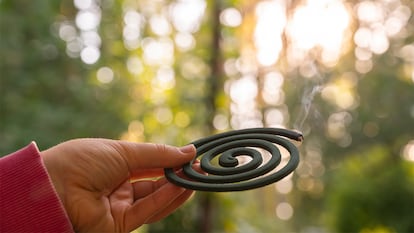 Espiral de incienso sobre fondo de un bosque con una mano sujetándolo.