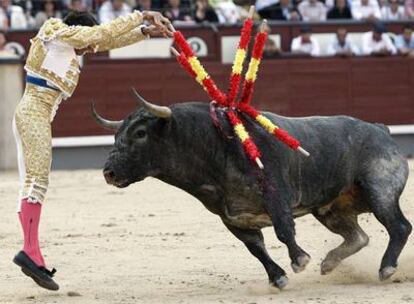 Rafaelillo pone las banderillas a uno de los toros de la ganadería de José Escobar en Las Ventas.