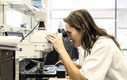 Científica de una investigación de Amadix en colaboración con el hospital universitario Río Hortega, en Valladolid.