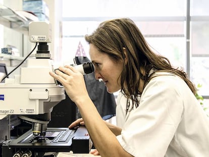 Científica de una investigación de Amadix en colaboración con el hospital universitario Río Hortega, en Valladolid.