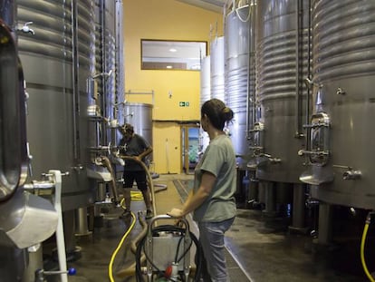 Un momento del proceso de producción del vino en el interior de las instalaciones de las Bodegas Peique.