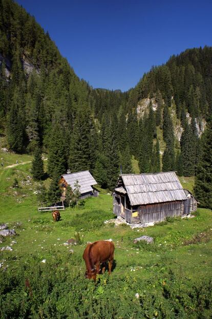 Escena rural en la montaña.