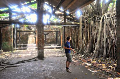 Casa Árbol en el distrito Anping de Tainan (Taiwán).